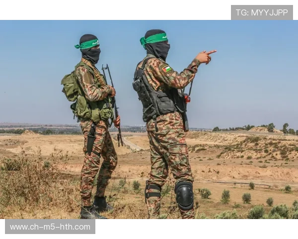 历次交锋揭示的战术线索